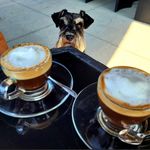 nancy mailloux - @pennywinston1 - Instagram