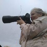 Nancy Main - @imagesbynancy - Instagram
