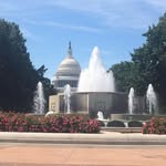 Nancy Leavey-Maley - @leaveymaley - Instagram