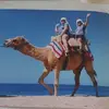 Nancy Malley - @nancy.malley - TikTok