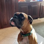 Nancy Maliszewski - @greendchick - Instagram