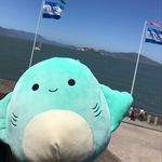 @nancy.mallows - Instagram