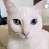 nancymalta7 - @nancymalta7 - TikTok