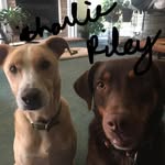 Nancy Mangan - @mangan6147 - Instagram