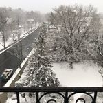 Nancy  Mangold - @nmangold105 - Instagram