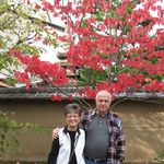 Nancy Mangold - @classy.grammie - Instagram