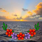 Nancy Manion Burt - @nleeburt - Instagram