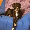 Nancy Mankowski - @nancymankowski - TikTok