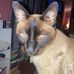 Nancy Mann - Facebook