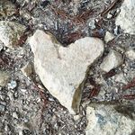 Nancy Mann - @heart2find - Instagram