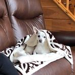 Nancy Manley Mantooth - Facebook