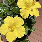 Nancy Manley Mantooth - Facebook