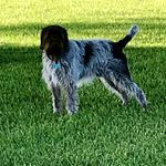 Nancy Mantooth - @griffnana76 - Instagram