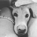 Nancy Mapes Bumann - Facebook