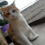 Nancy Mariscal - @nancy45699 - Instagram