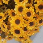 Nancy Marrone - @marronenancy - Instagram