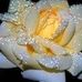 Nancy Martinelli - Facebook