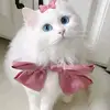 nm - @nancymaskhi - TikTok