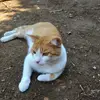 Nancy Mateo - @nancy.mateo6 - TikTok