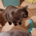 Nancy Matheny - @nancy.matheny.946 - Instagram