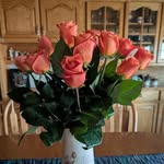 Nancy Matheny-Mehlhoff - @mathenymehlhoff - Instagram