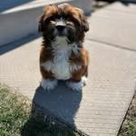 Nancy Baker Mather - @nancy.g.8 - Instagram
