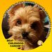 Nancy Matsuda - Facebook