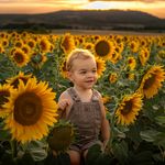 photographe canin enfant lorraine - @maudecaseaux_photographe_nancy - Instagram