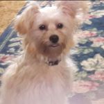 Nancy Mauldin - @nancy43710 - Instagram