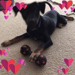 Nancy Webb Mauldin - @nancy.w.mauldin - Instagram