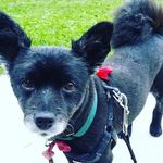 Nancy Mayberry - @namayber - Instagram