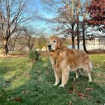 Nancy Mayers - @mayersnancy - Instagram