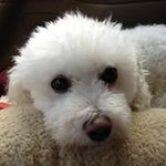 Nancy Mayhew - @namay1990 - Instagram