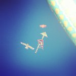 Nancy Maynor - @gottasandwasabi - Instagram