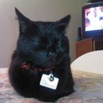 Nanci McBee - @turbobeanie - Instagram