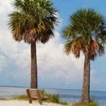 Nancy McBee Weber - @rwweber0776 - Instagram