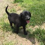 Nancy - @nancy_mccarty - Instagram
