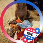 Nancy McClanahan - Facebook