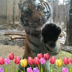 Nancy McClary - Facebook