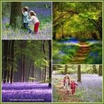 Nancy Mccloud - @mccloudnancy - Instagram