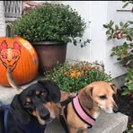 Nancy McConaghy II - Facebook