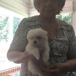Nancy Wilson McConkey - @2a7pfa62ru - Instagram