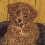 Nancymc McConkey - @nancymcmcconkey - Instagram