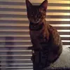 naemccroskey29011 - @naemccroskey29011 - TikTok