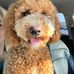 Nancy Mcdade - Facebook