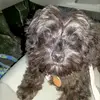 Nancy McDaniel986 - @nancymcdaniel986 - TikTok