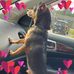 Nancy McDaniel - Facebook