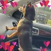 nancymcdaniel03 - @nancymcdaniel03 - TikTok