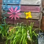 Nancy Perry McDill - @bammawx7 - Instagram