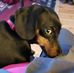 Nancy Mcdonald - Facebook
